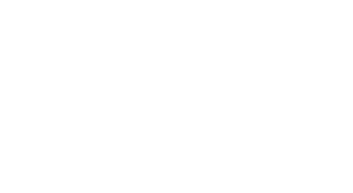 Falcon 8