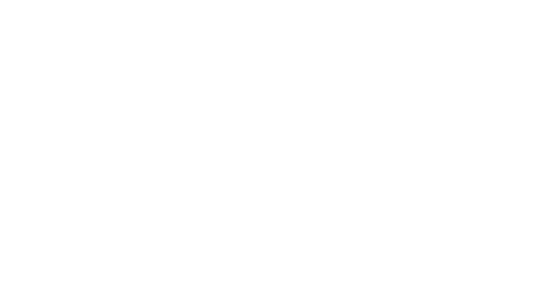 Nacionalni program